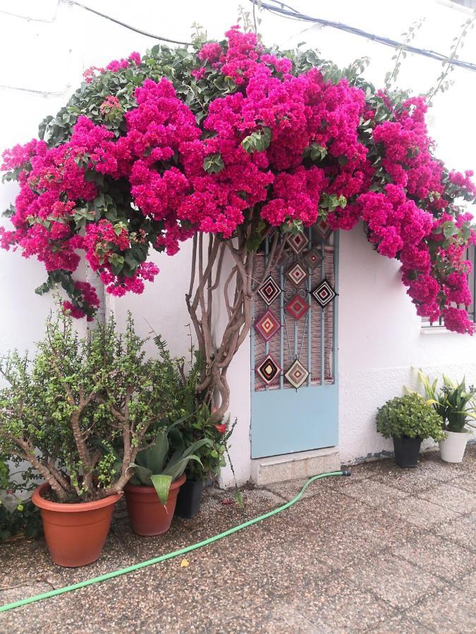 Corazon De Conil Appartement Conil De La Frontera Buitenkant foto