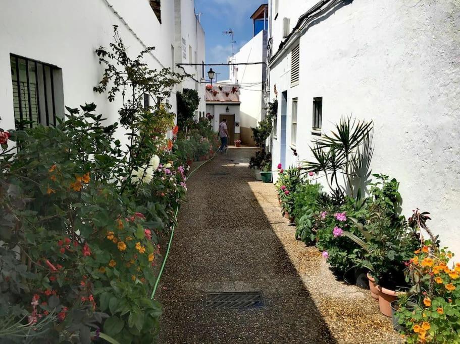 Corazon De Conil Appartement Conil De La Frontera Buitenkant foto