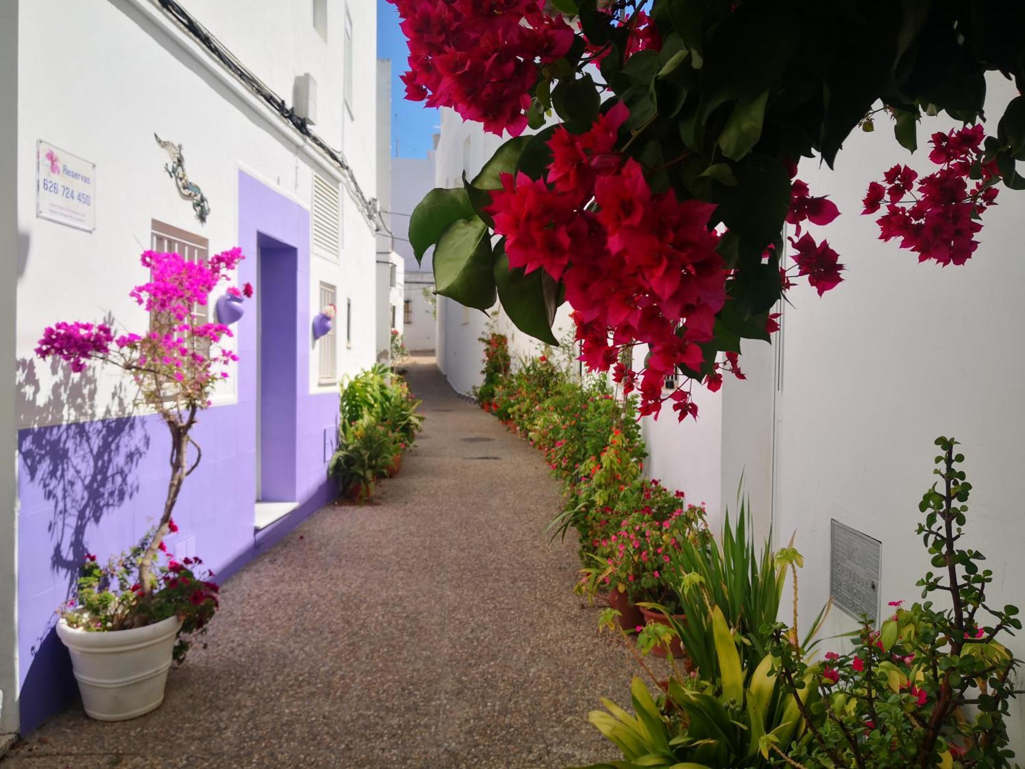 Corazon De Conil Appartement Conil De La Frontera Buitenkant foto
